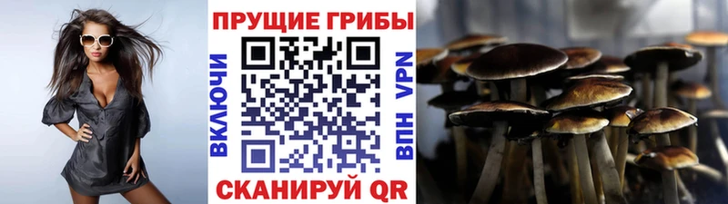 Псилоцибиновые грибы мухоморы  Майский 